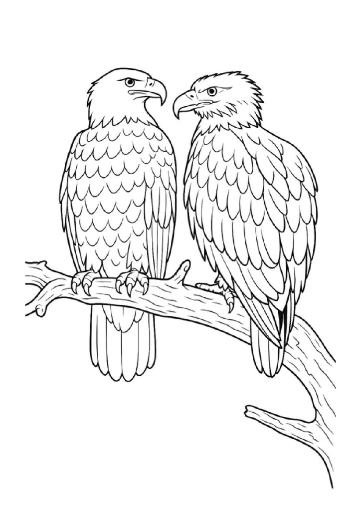 Birds of Prey