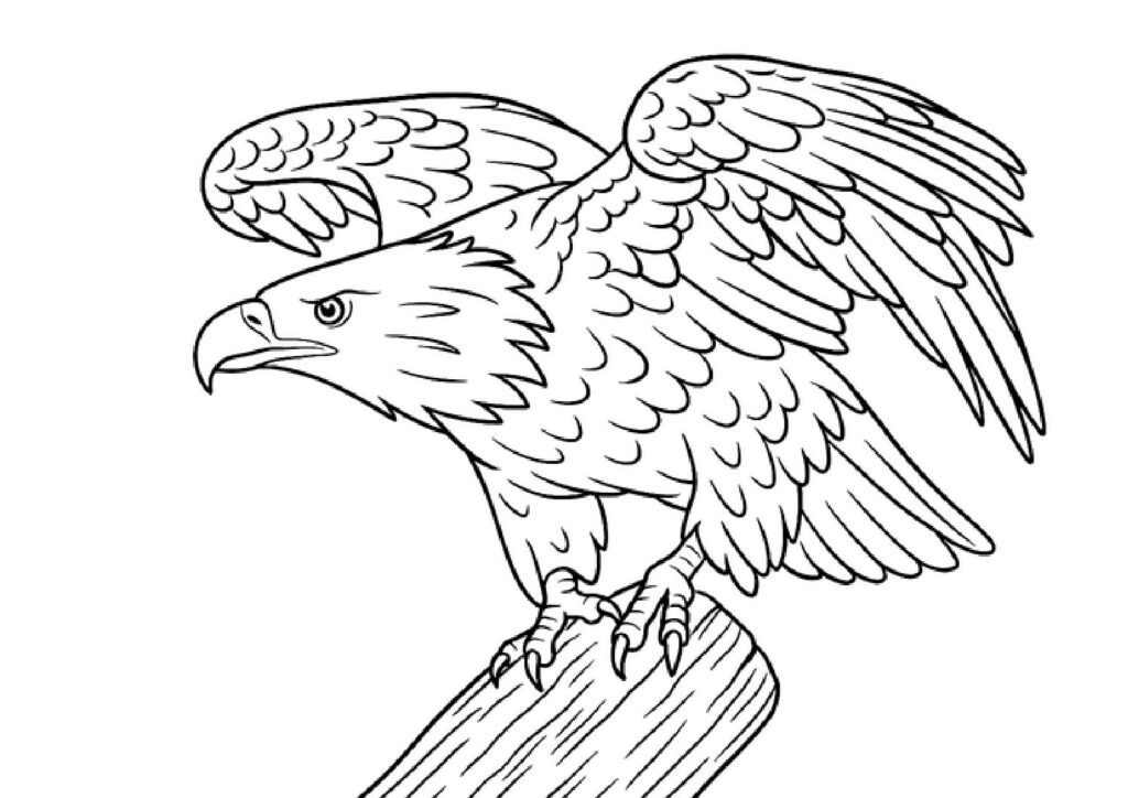 Eagle