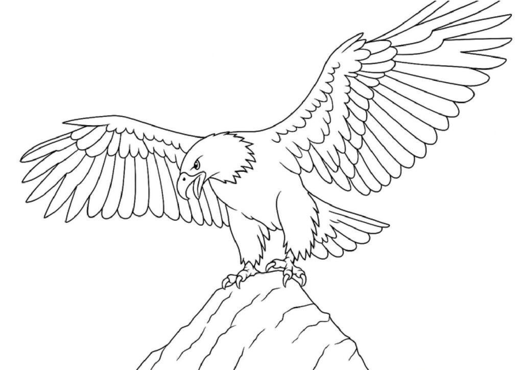Eagle