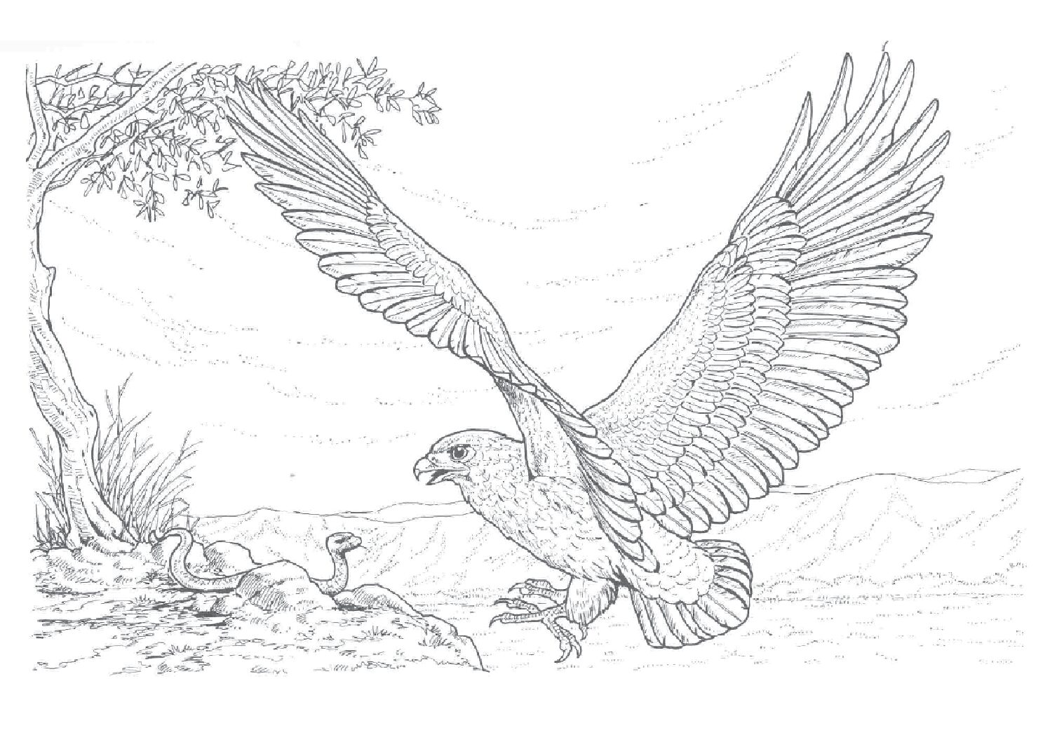 Bateleur
