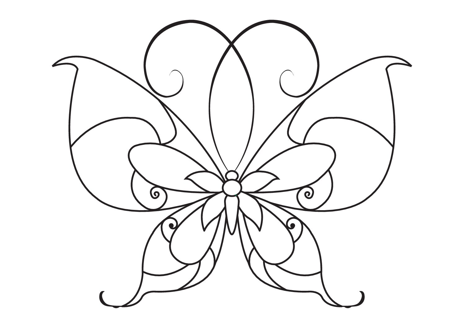 Butterfly