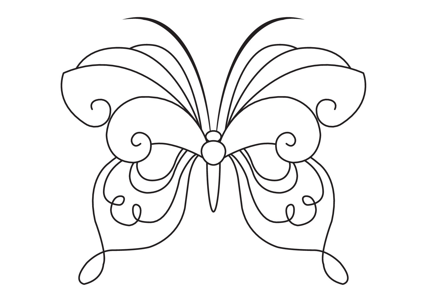 Butterfly