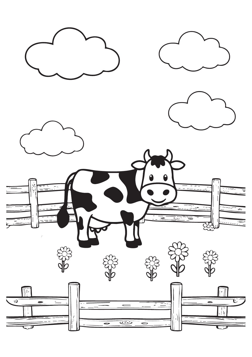 Cows