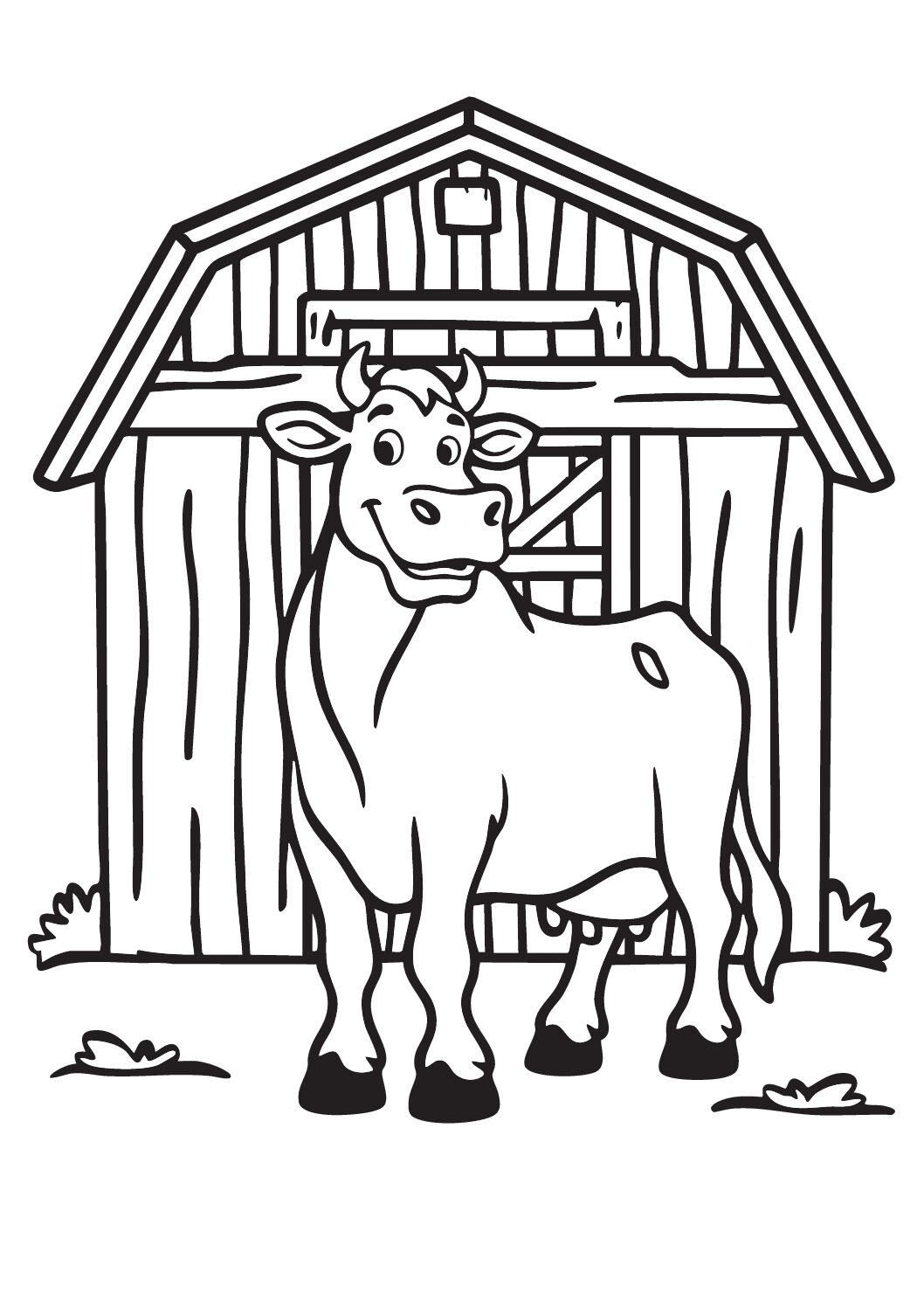 Cows