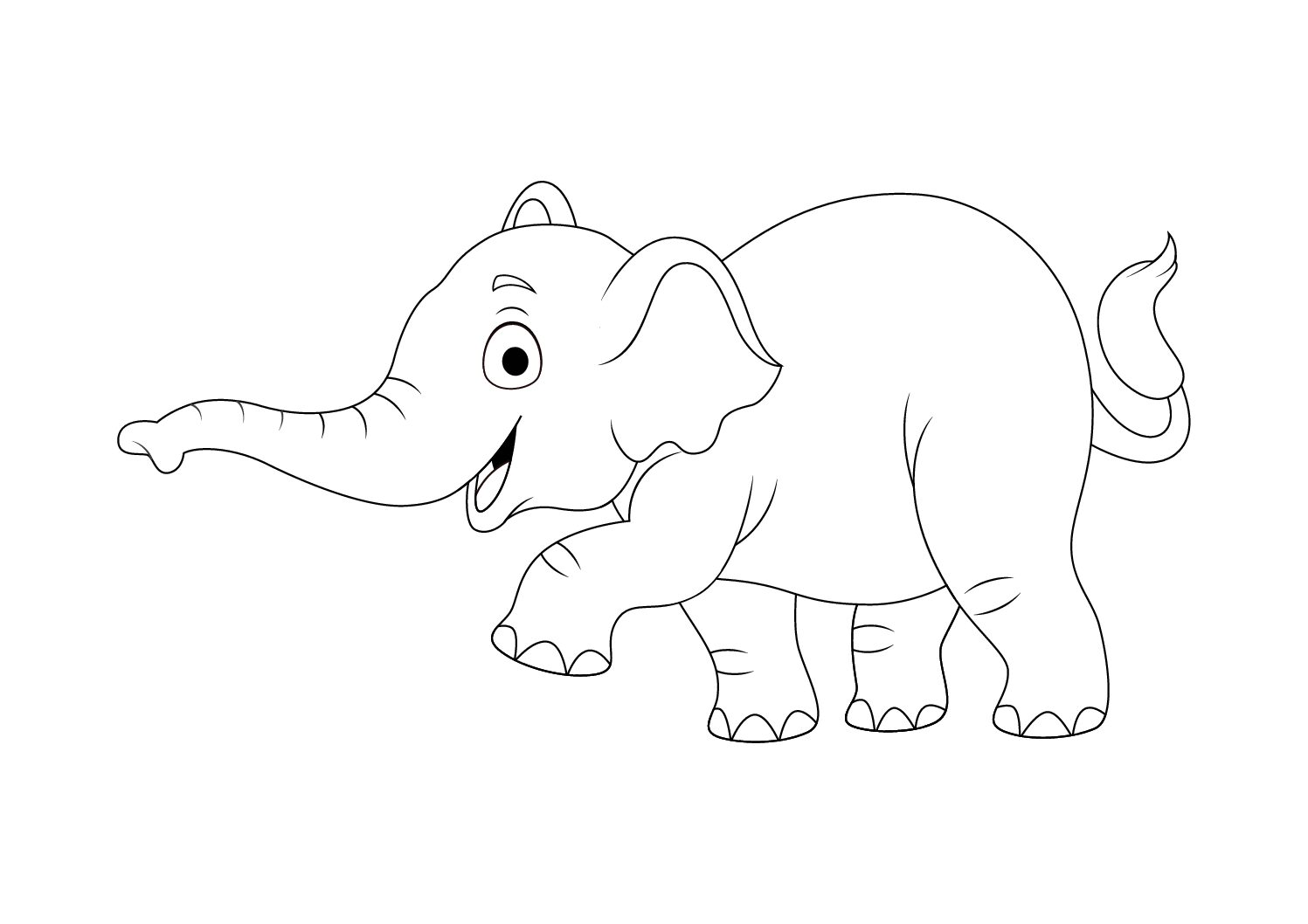 Elephant