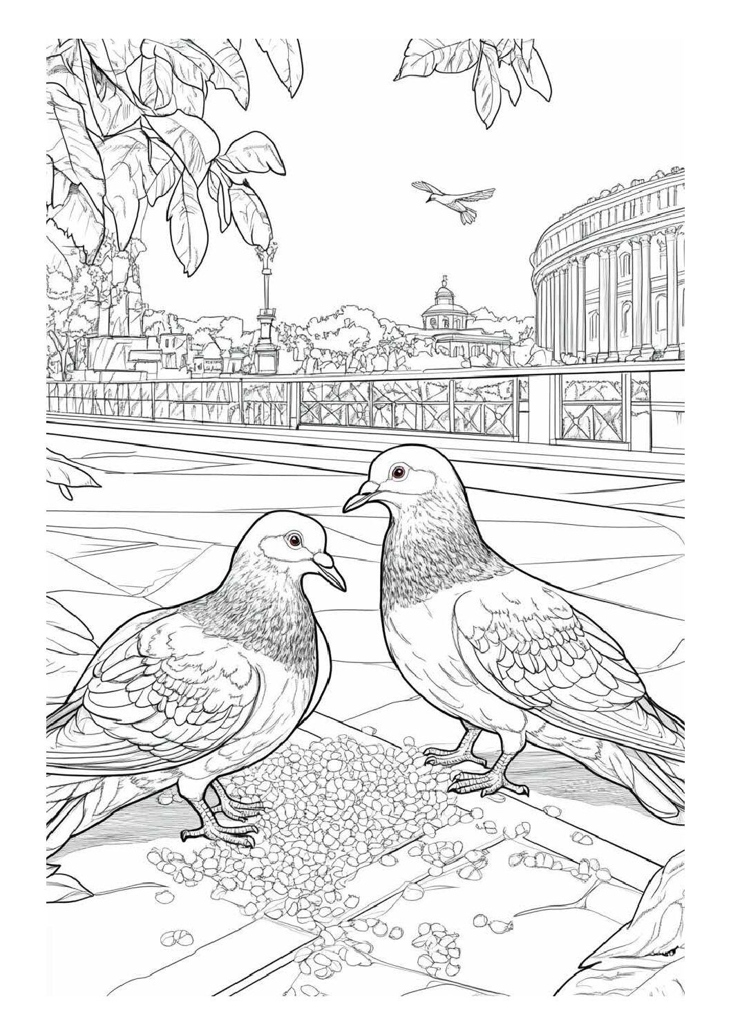 Pigeons in the city